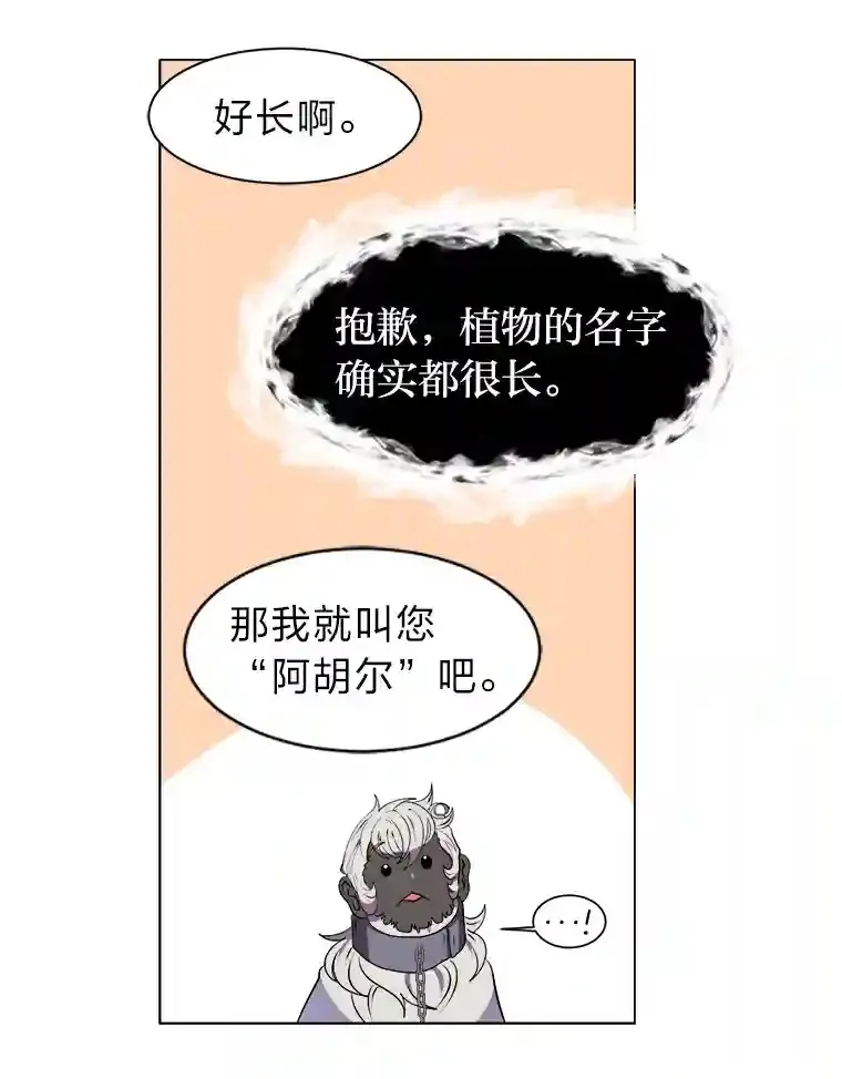 24.仙人掌阿胡尔54