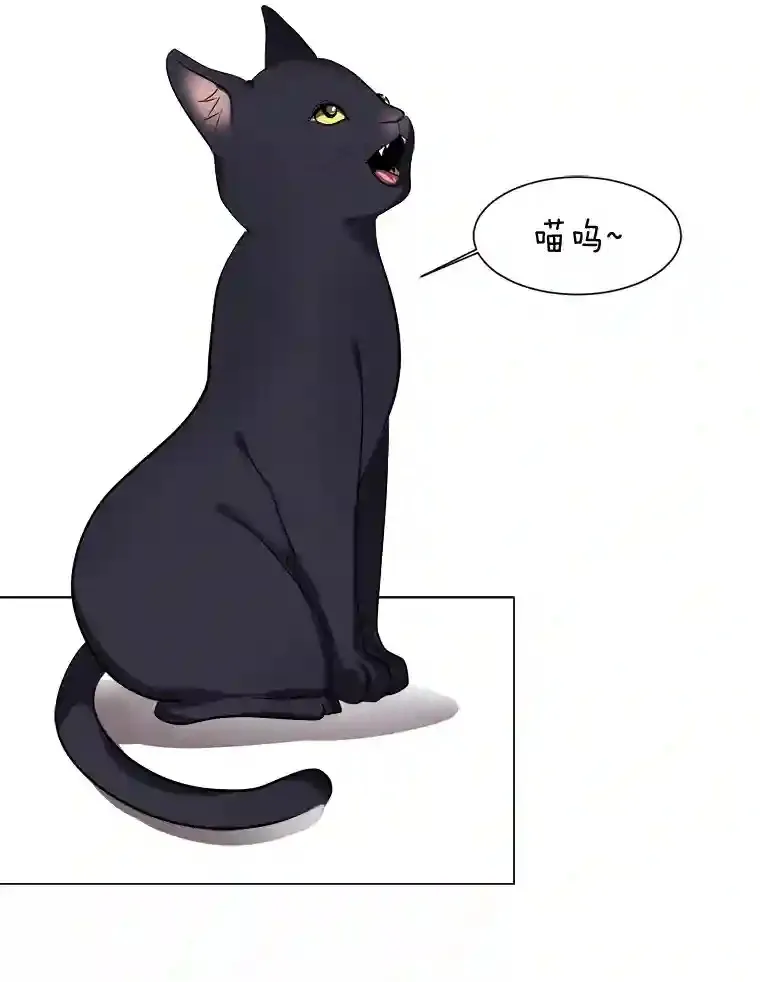 32.公会副会长29