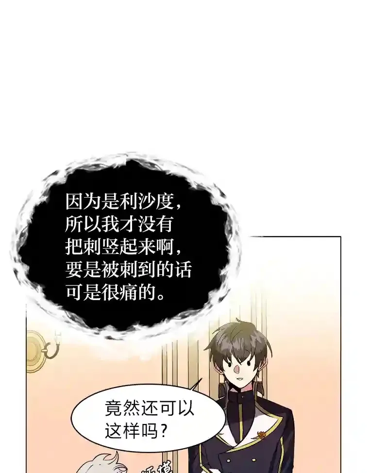24.仙人掌阿胡尔61