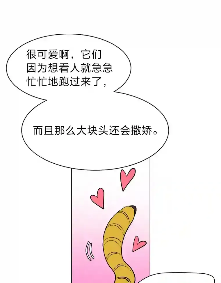 36.突如其来的客人84