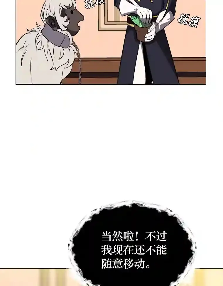 24.仙人掌阿胡尔62