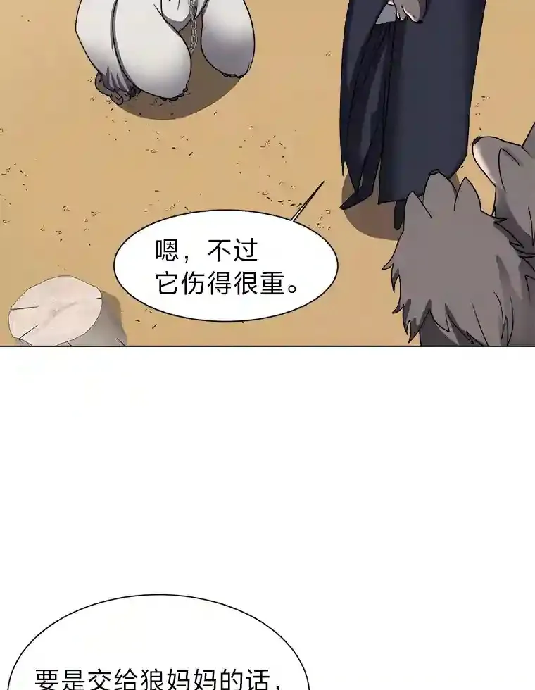 44.新同伴68