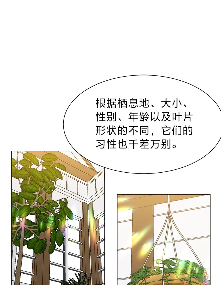 62.巨人仙人掌83