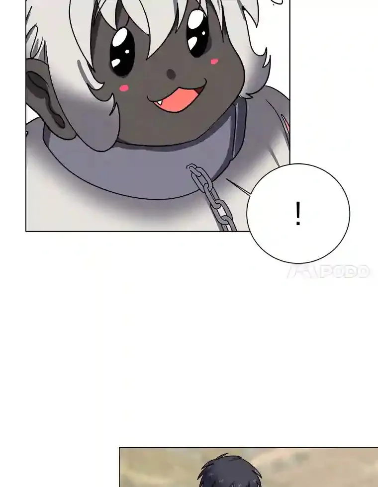 44.新同伴66