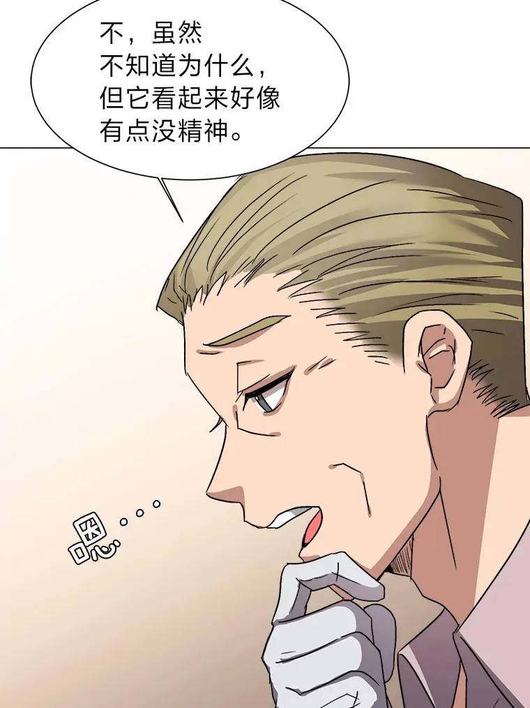 62.巨人仙人掌24