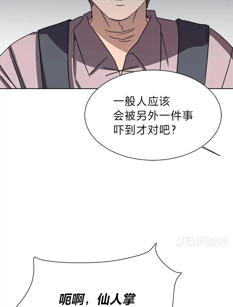 62.巨人仙人掌32