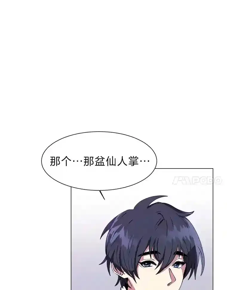 24.仙人掌阿胡尔33