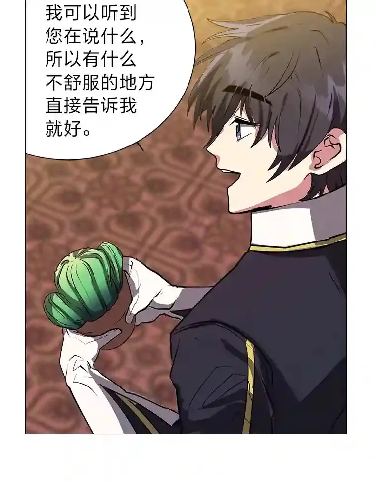 24.仙人掌阿胡尔51