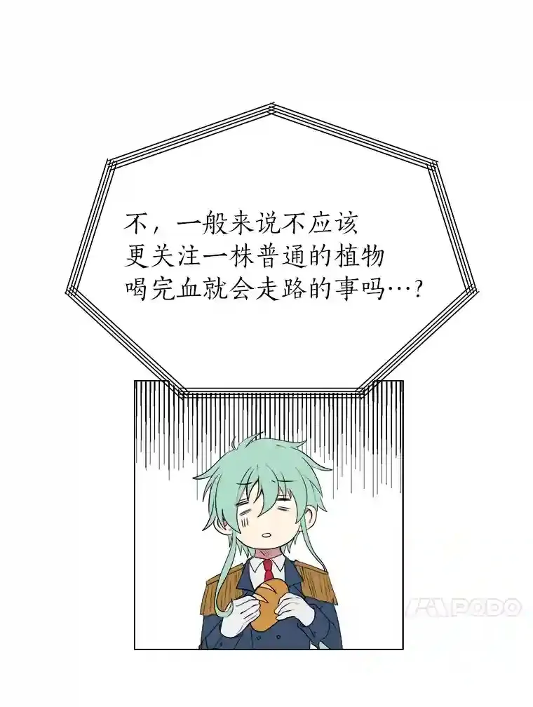 30.阿胡尔的花68