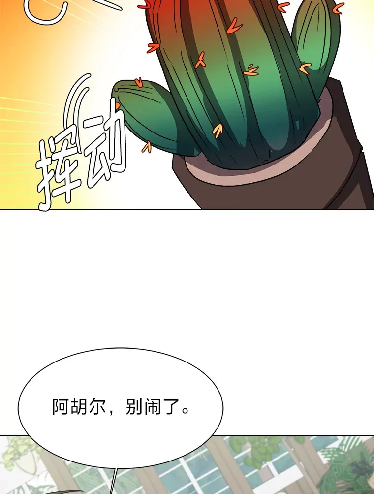 62.巨人仙人掌35