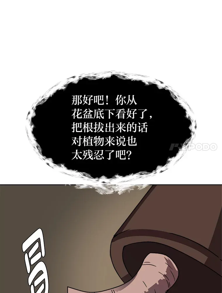 62.巨人仙人掌42