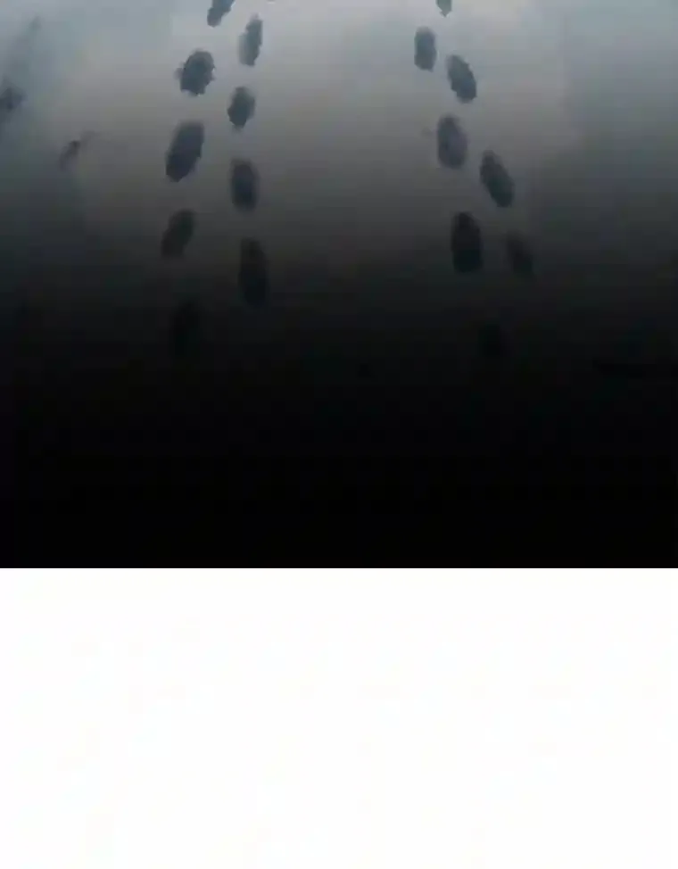 22.委托完成73