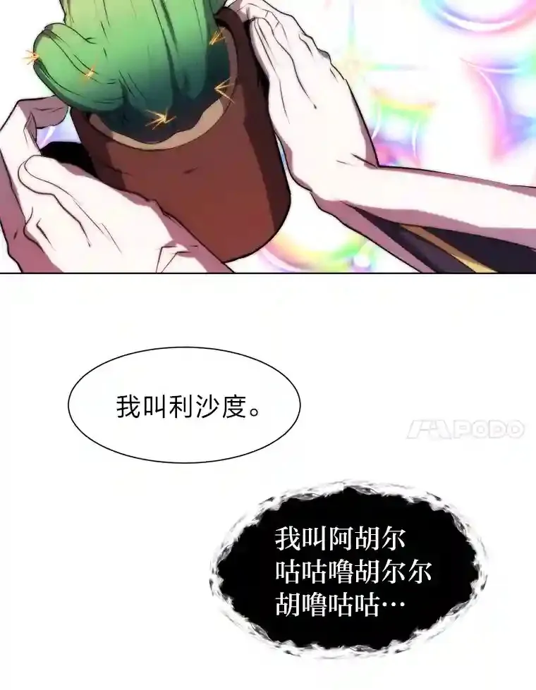 24.仙人掌阿胡尔53