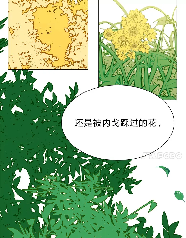 63.会长35