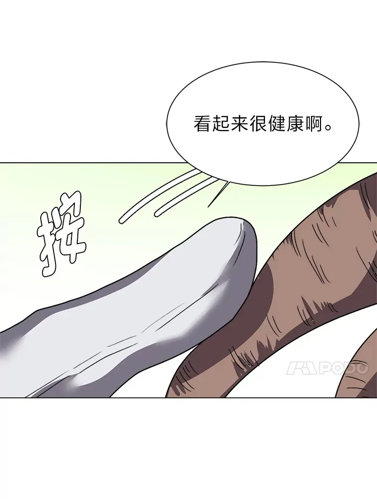 62.巨人仙人掌45