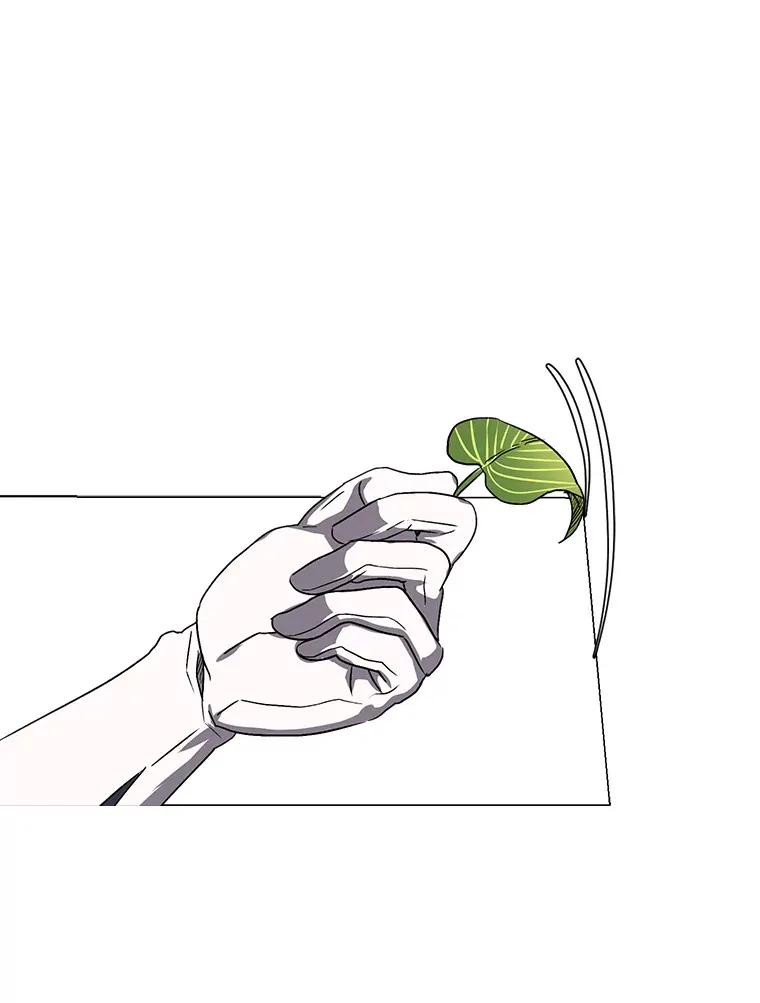 61.植物园61