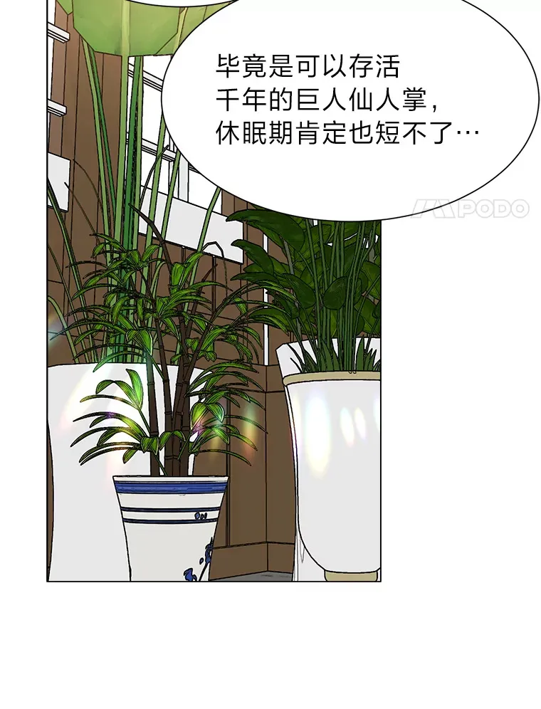 62.巨人仙人掌65