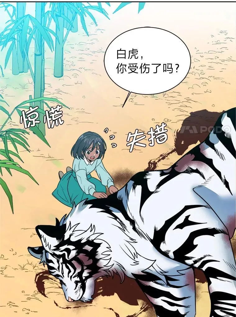 106.白虎13