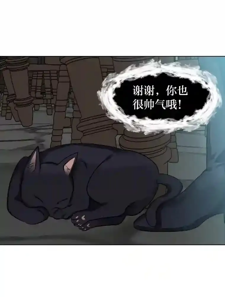 34.全新的委托53