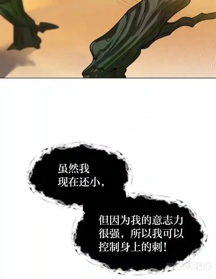 24.仙人掌阿胡尔66