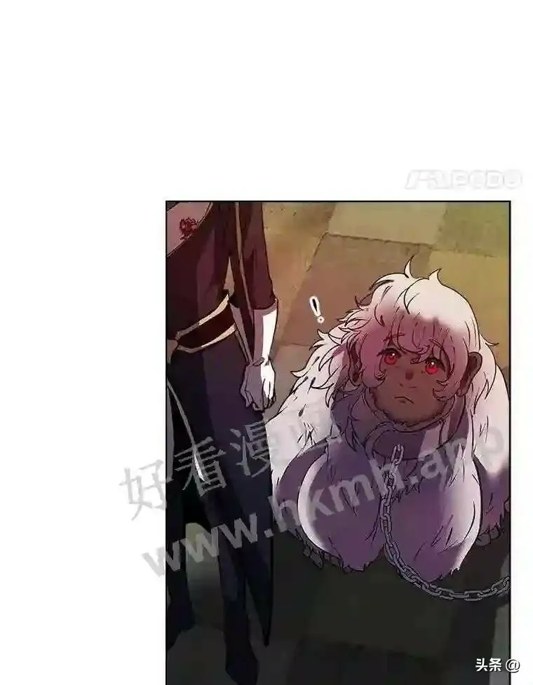19.房间里的夫人7