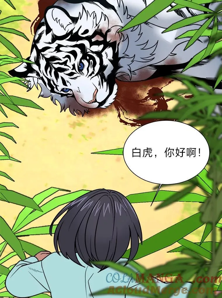106.白虎9