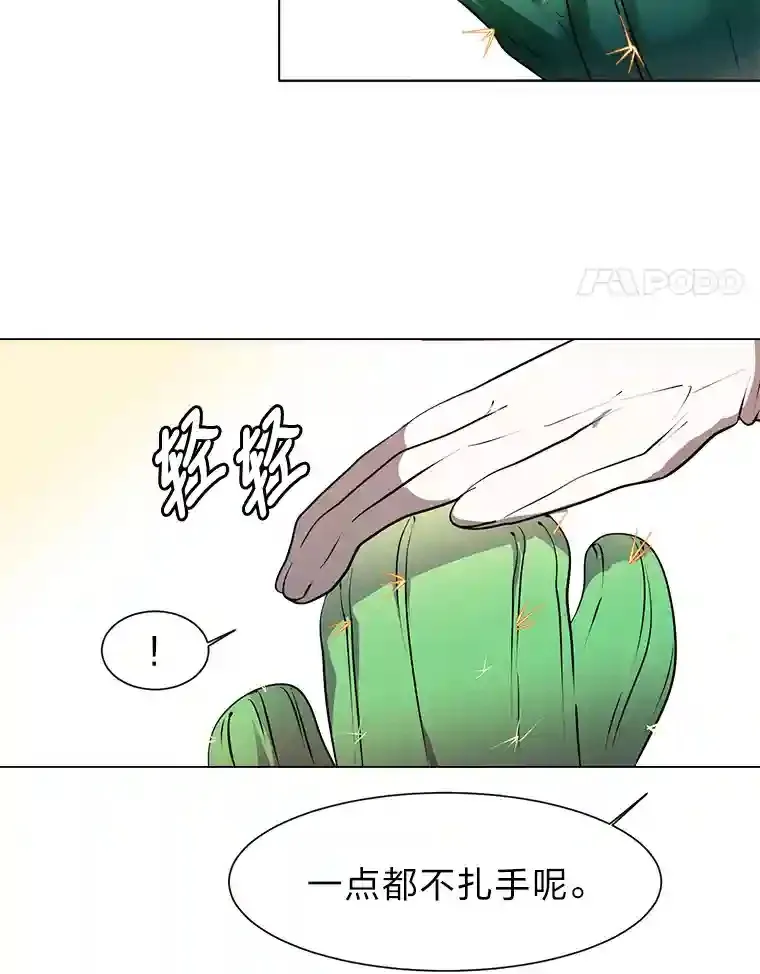 24.仙人掌阿胡尔60