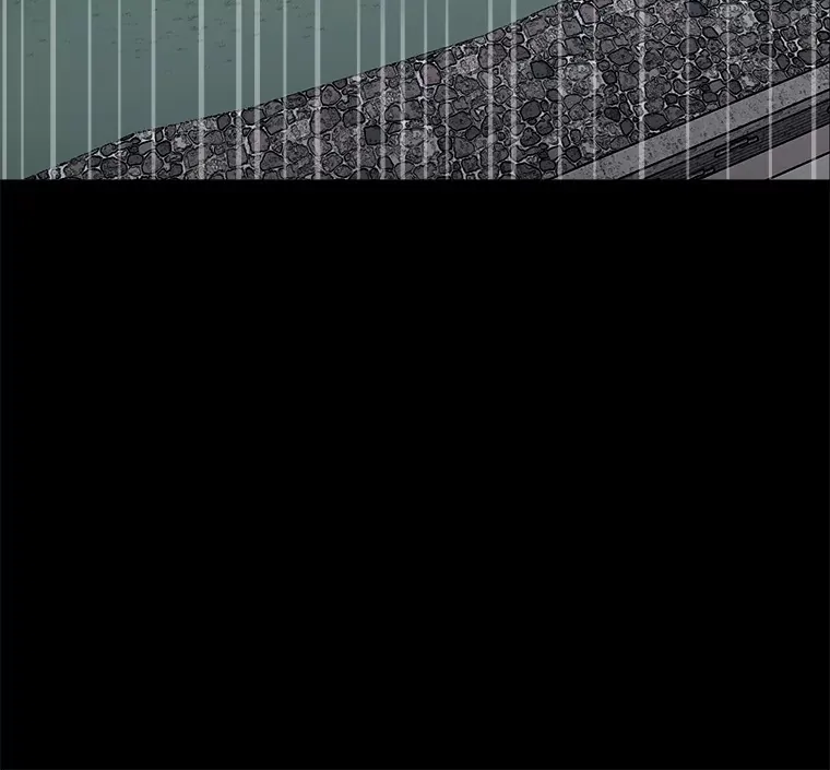 55.捡来的宝物95