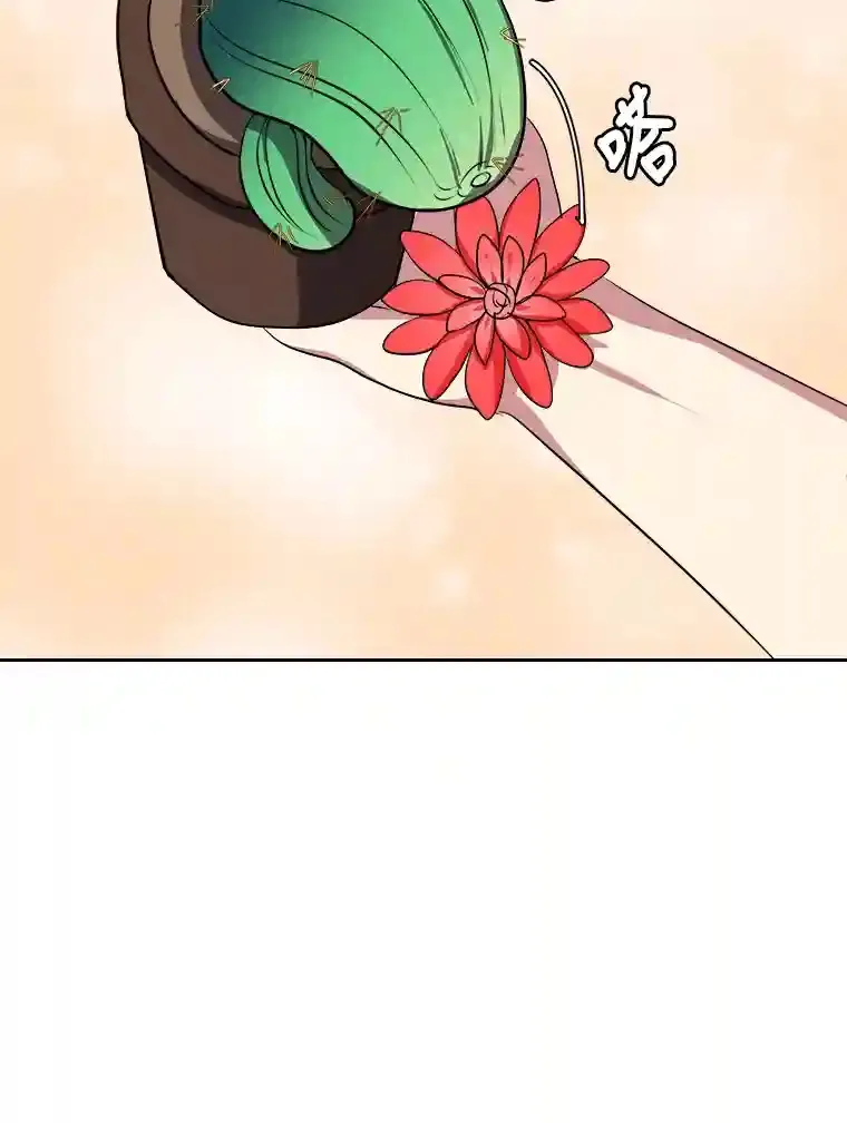 30.阿胡尔的花70