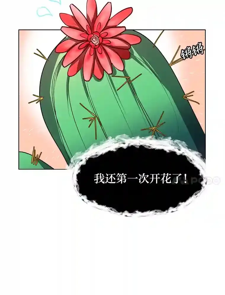 30.阿胡尔的花65