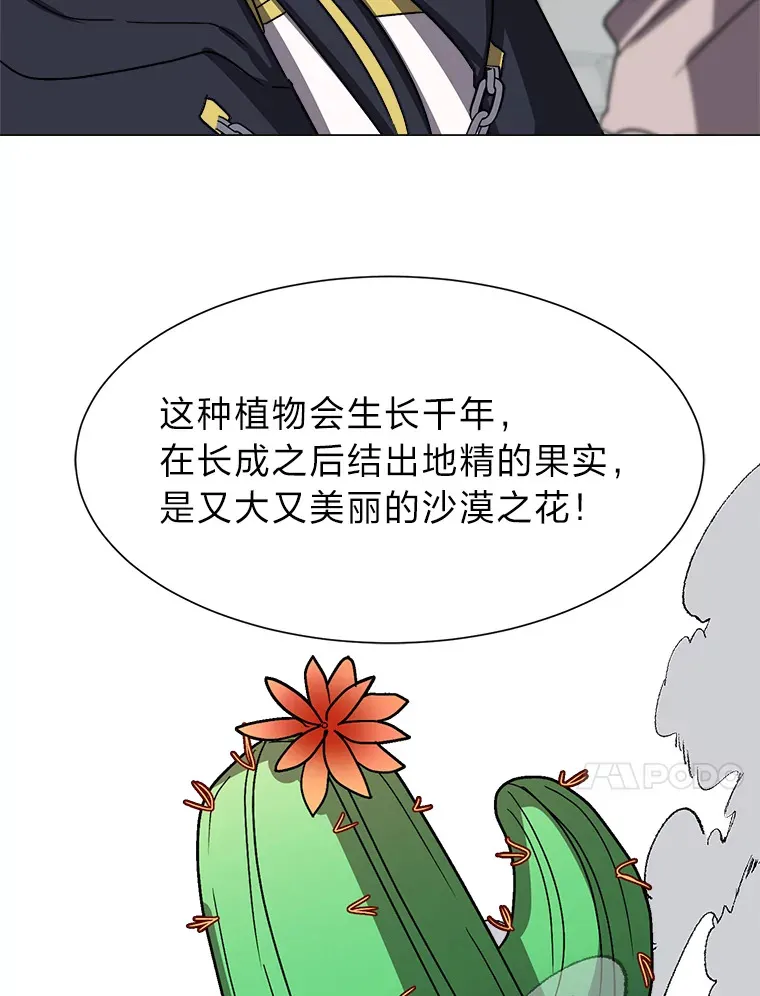 62.巨人仙人掌58