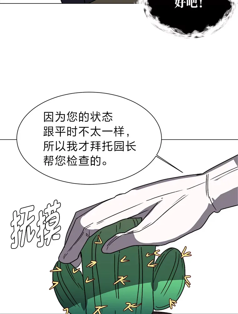 62.巨人仙人掌37