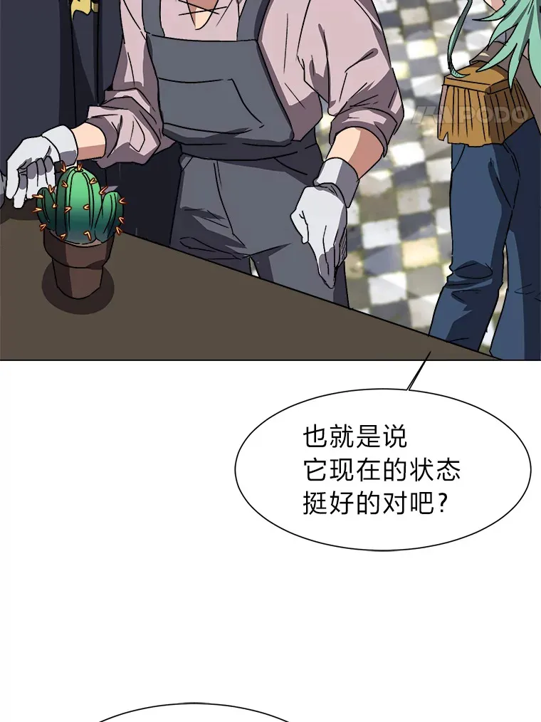 62.巨人仙人掌23