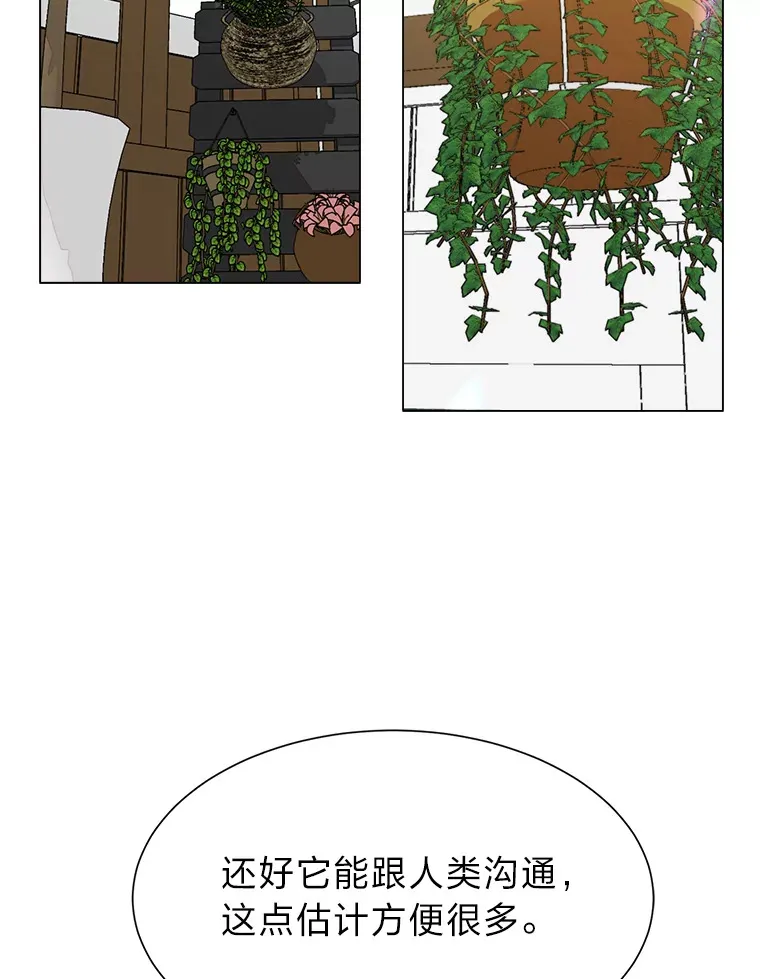 62.巨人仙人掌84