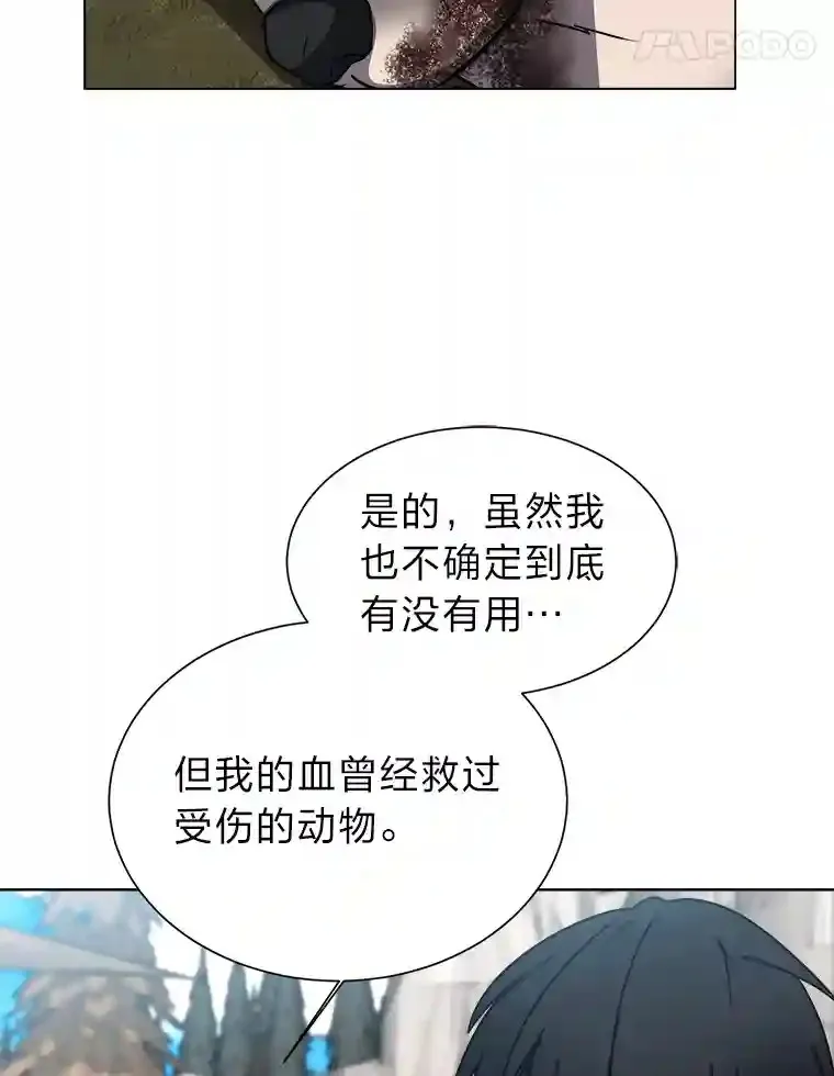 44.新同伴27