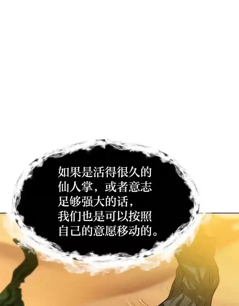 24.仙人掌阿胡尔65