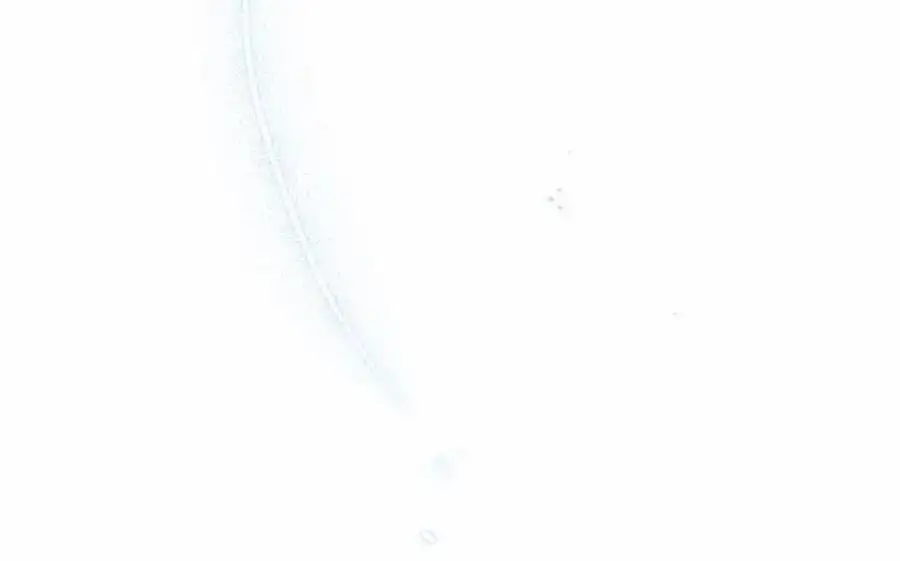 第48话 礼物234