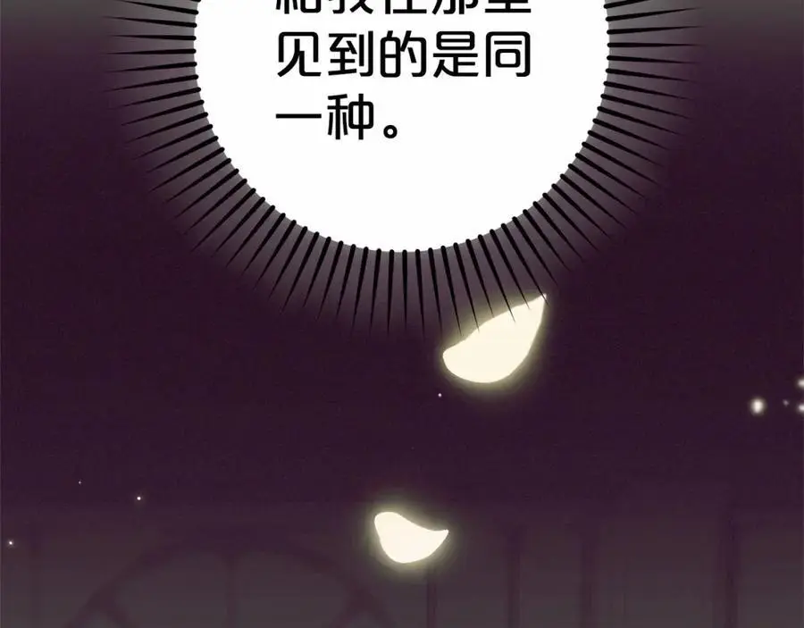 第一季完结话5