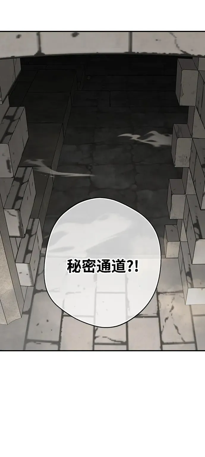 [第2季 25话] 摇篮的约定（1）47