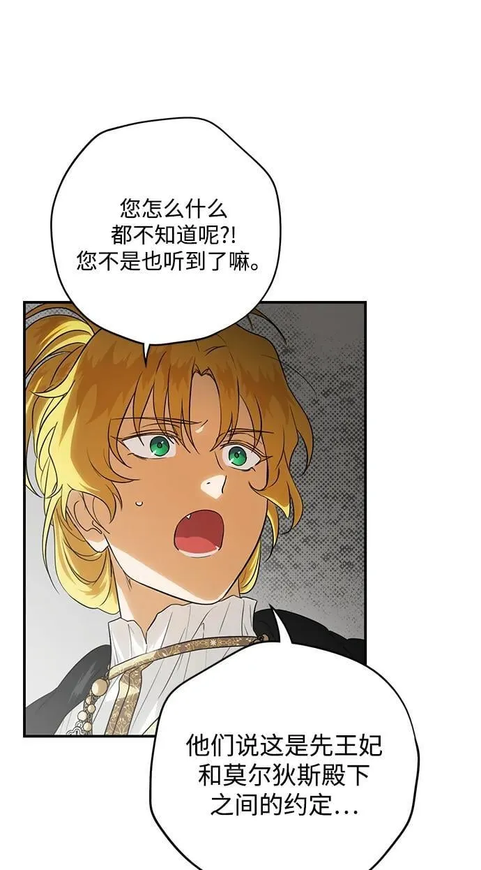 [第2季 26话] 摇篮的约定（2）28