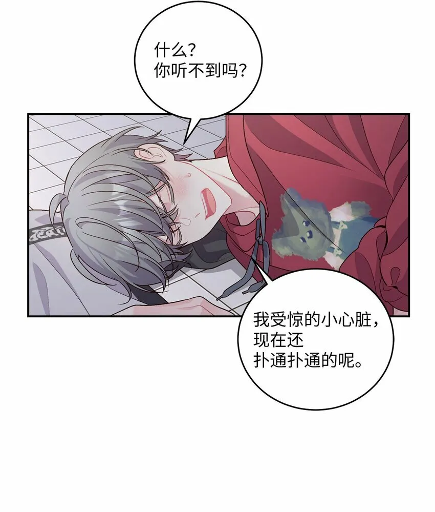 27 打赌12