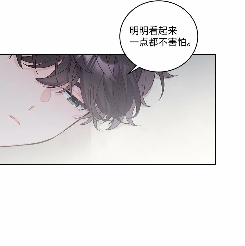 27 打赌11