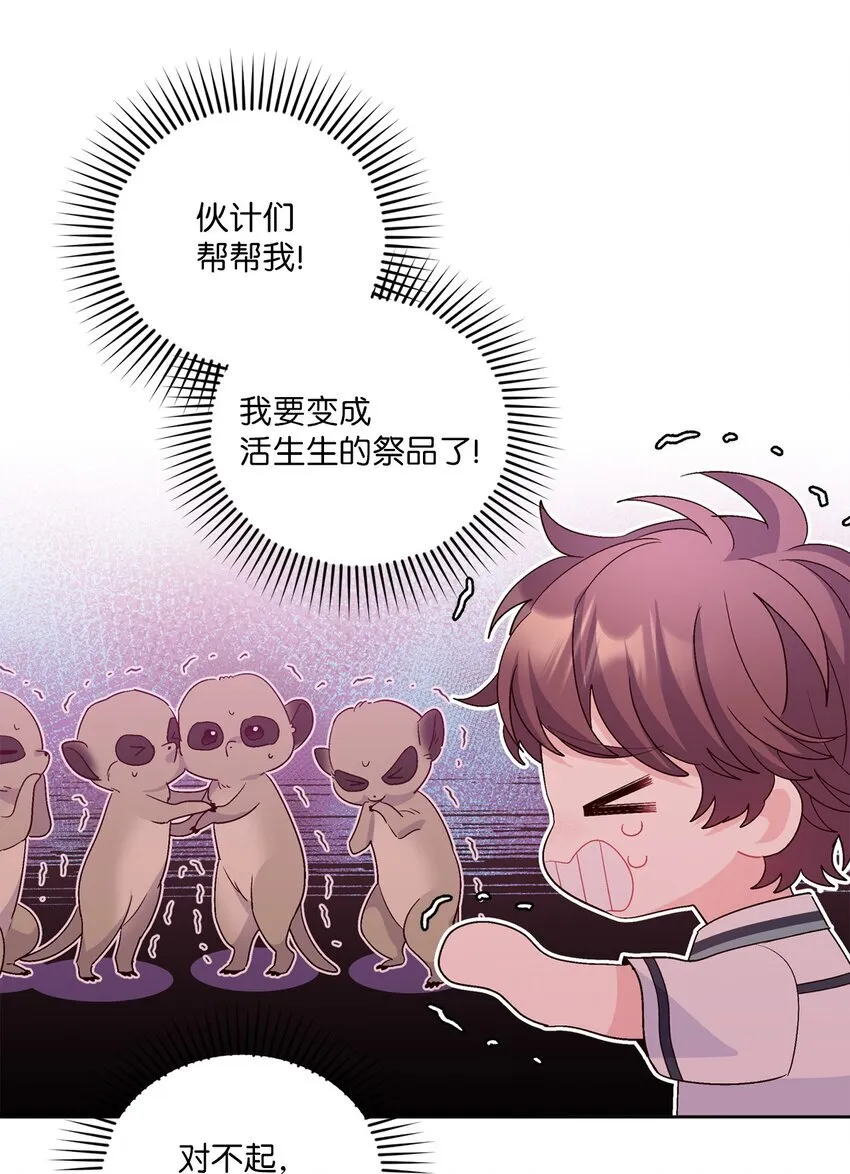 56 努力的魏礼40