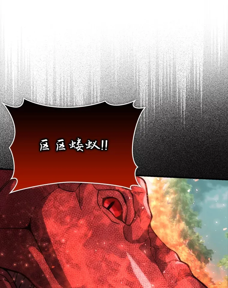58.攻打首领怪副本112