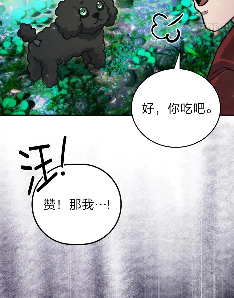 40.辛勤工作喂狗狗13