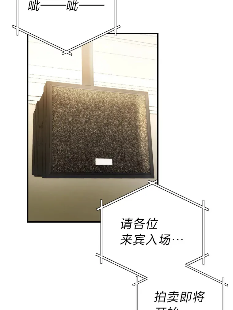 38.蒙面竞拍大手笔58