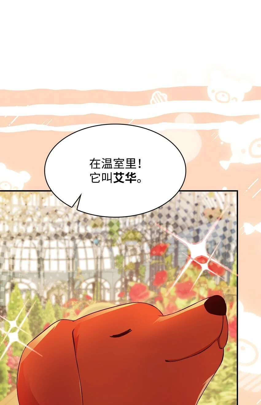 31 温室里的温馨12