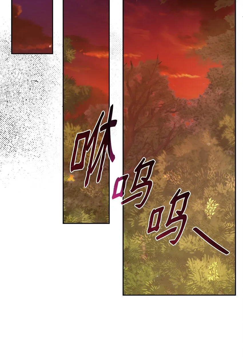 36 森林奇遇24