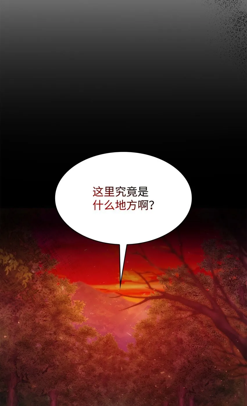 35 不寻常的贺礼71