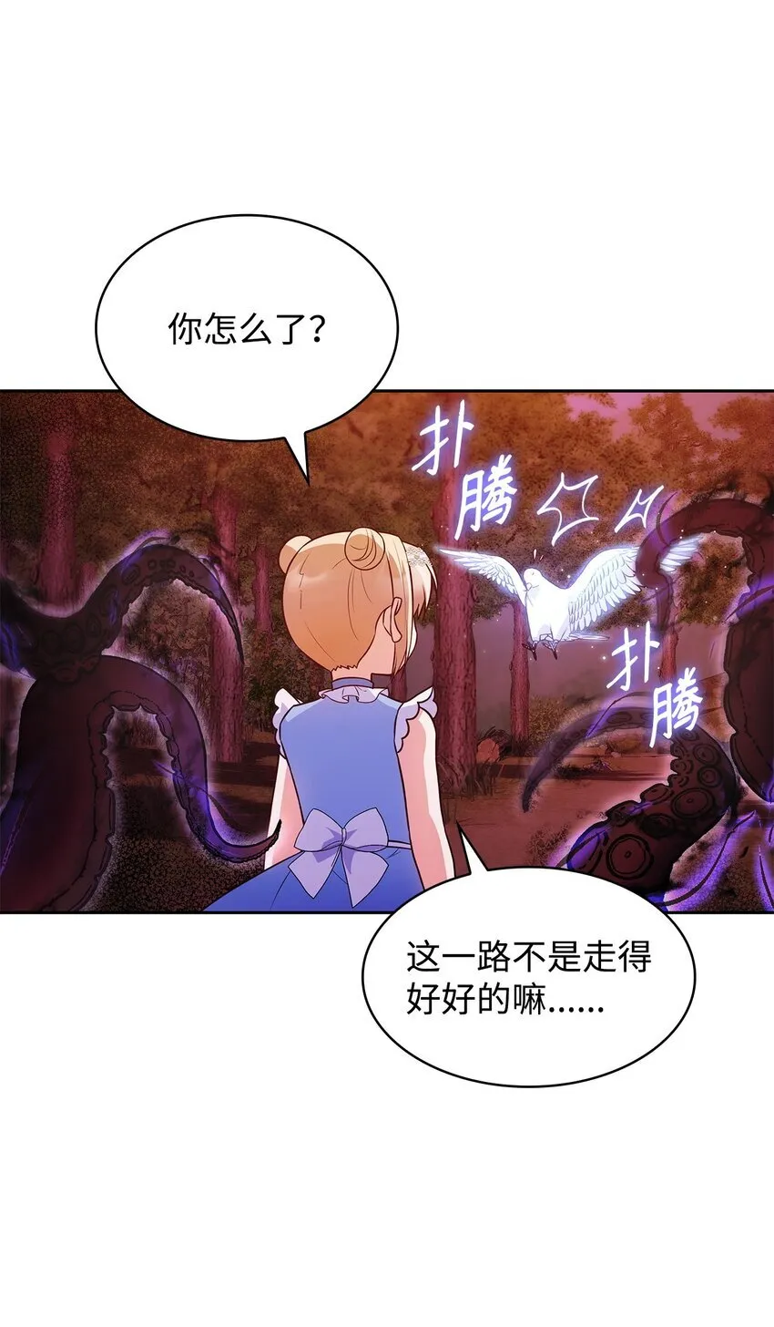 36 森林奇遇34